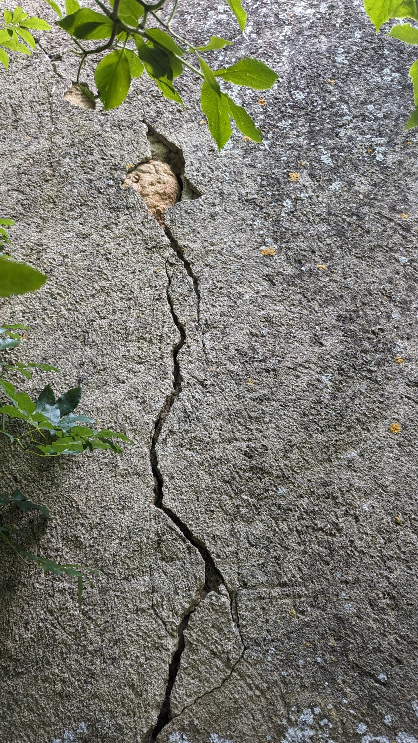 fissure mur solution